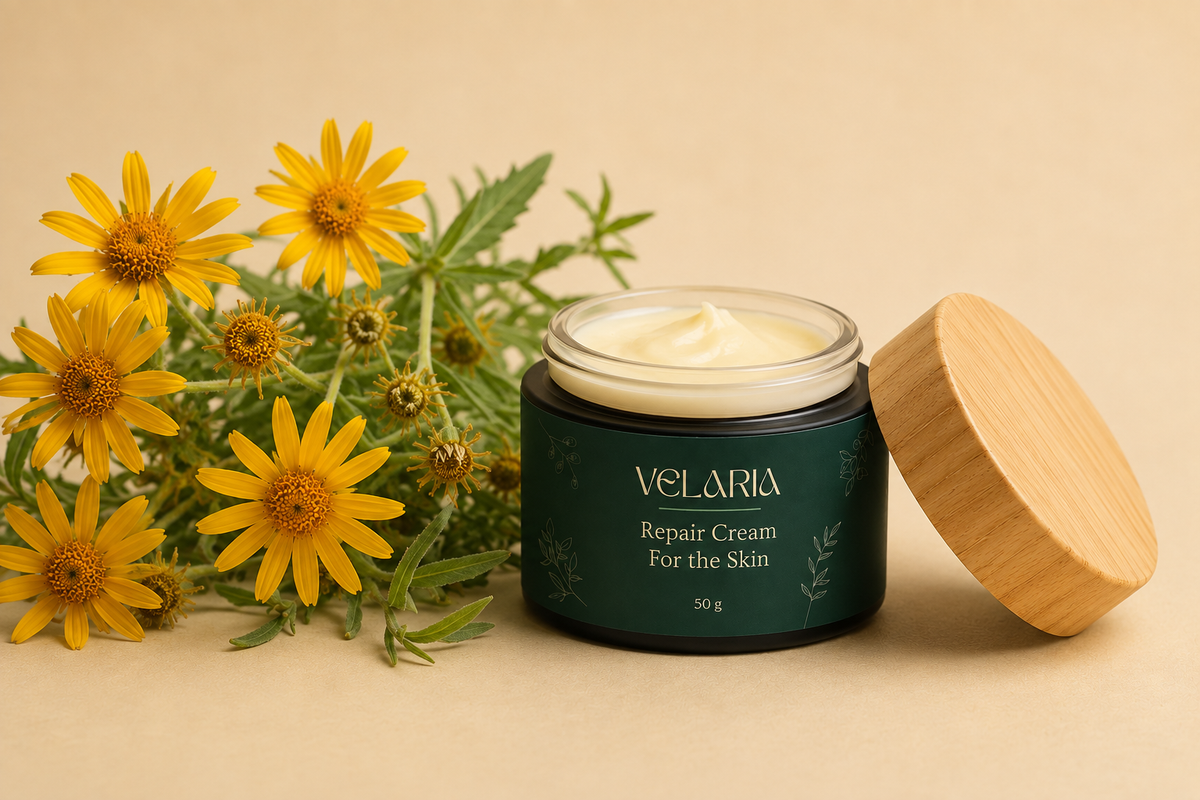 Velaria Repair Cream with arnica montana flowers, the source of arnica oil for skin
