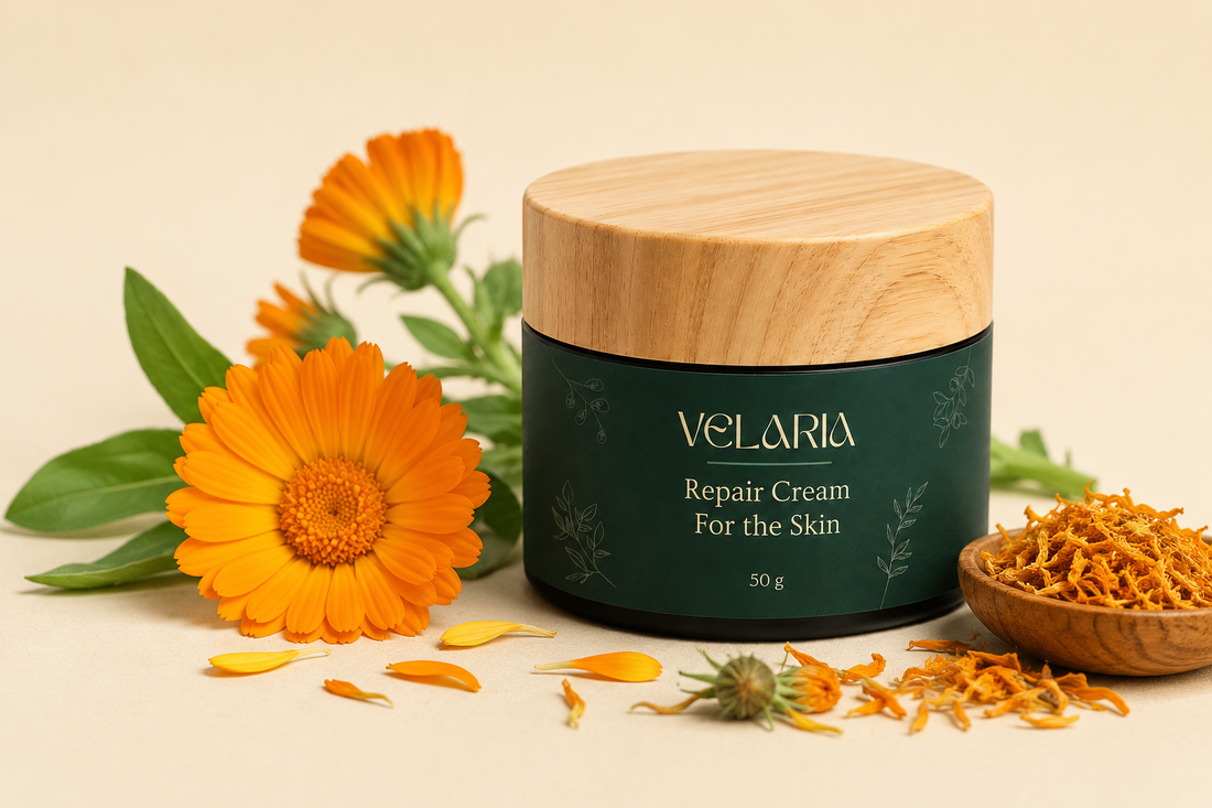 Velaria Repair Cream with calendula flowers, used for calendula for skin benefits