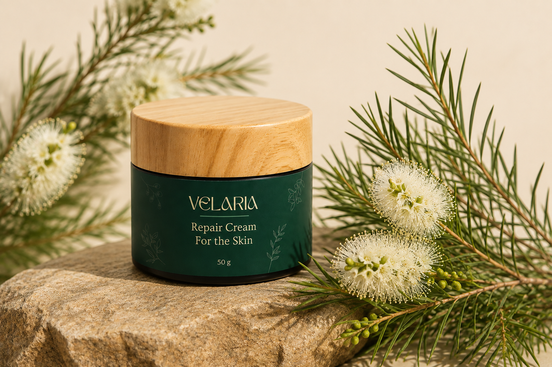 Velaria Repair Cream with tea tree leaves, the source of tea tree essential oil for skin